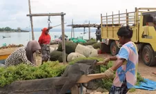 HUT ke- 66 NTT, Yayasan PIKUL: Masyarakat Sipil Tuntut Keadilan Iklim, Inklusi Sosial, dan Ketahanan Pangan di Bawah Pemerintahan Baru Melki-Jhoni